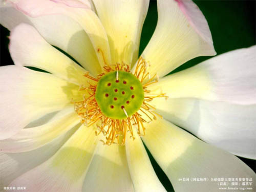 Tip Seung is a Digital Media Art student, interested in Website design, photography, drawing and painting.