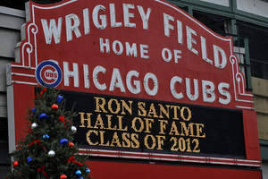 davidchesley's profile picture. 