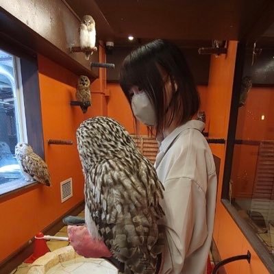 あの時言えなかった言葉と色を綴る野良猫。ここは全てがつくりごと。趣味は散歩と迷子。本とお菓子とえびが好き。美味しい物語を食べて生きていきたい。 #本日の凶悪犯罪 #野良猫書房 店主 #野良猫書房本棚 写真集▶︎ #title_mitei0229 ＊推しカメラマン▶︎@tateha_photo＊