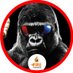 (社畜から)31歳でFIREしたゴリ@₿TC/TSLA/レッドピル教祖 (@firedinvestor31) Twitter profile photo (社畜から)31歳でFIREしたゴリ@₿TC/TSLA/レッドピル教祖 (@firedinvestor31) Twitter profile photo