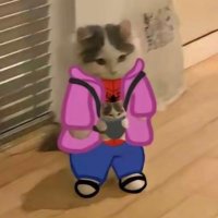 squishywizard.bsky.social (@squishywizard3) 's Twitter Profile