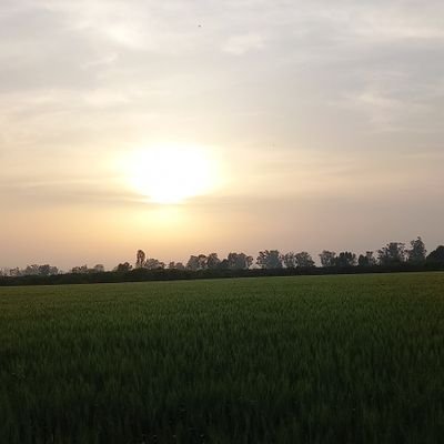 hardeepmaan1535's profile picture. God is One. Humanity is our caste.