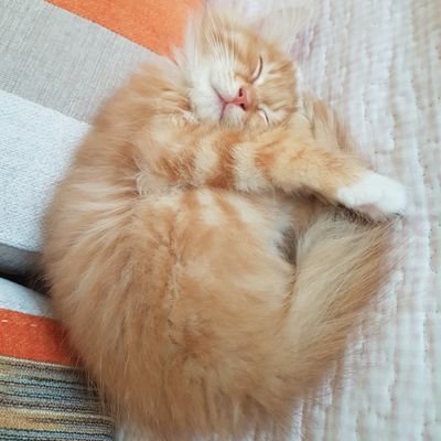 Jzc6663753191's profile picture. 