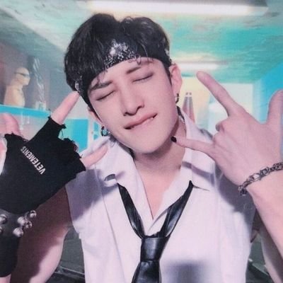 ℹ️this user is currently living in 2D hyping up mostly for StrayKids then yapping about her 3D life.