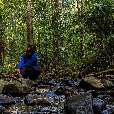 PhD at University of Montana in Dr Zettlemoyer's lab | Insect Enthusiast | Budding Ecologist | Tweets are personal opinions