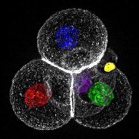 KMBG_JCU (@kmbg_jcu) 's Twitter Profile
