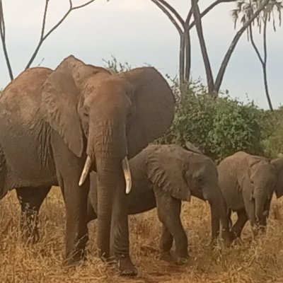 Responsible customised safaris in East Africa