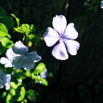 転職・起業応援のPC塾を運営✨ 広告・WEB制作会社3社勤務/大学非常勤講師 / 広告デザインの面白さを日々実感⭐️この度、夏限定のオンラインWEBデザイナー資格コースを開設。⭐️募集6/25まで アカウント限定5名さま