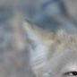無さんのプロフィール画像