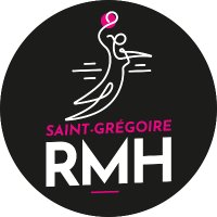 SGRMH (@sgrmhandball) 's Twitter Profile