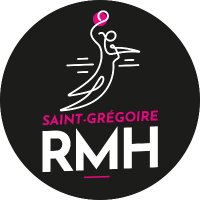 SGRMH(@SGRMHandball) 's Twitter Profileg