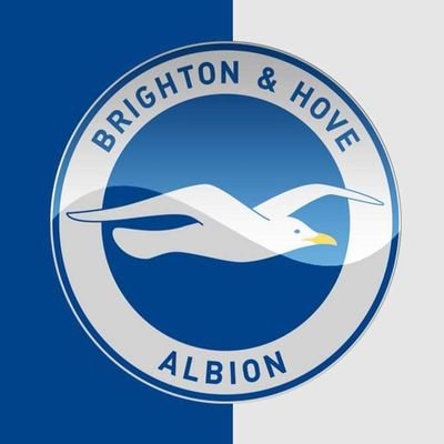 Avid Brighton and Hove Albion Fan.F1,Touring Cars, Darts And Speedway Fan.