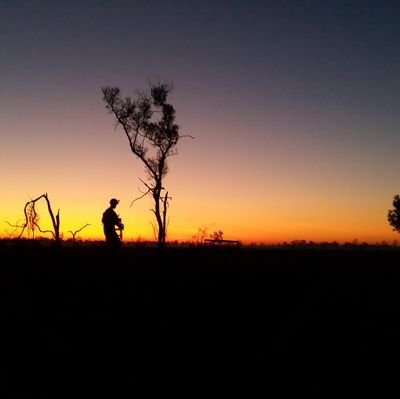 moreheadstate75's profile picture. neato mosquito