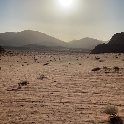 noninfg's profile picture. 