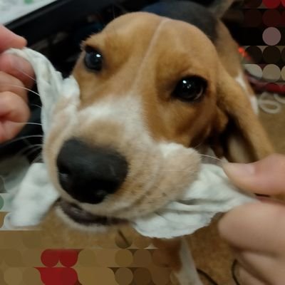 ユリシーズの仮の宿です。
突然のフォロー失礼します。
API制限対策に作ったアカウントですが、秘蔵写真でもアップしようかと思ってます。
mastodonにもサバ田でアカウント作ってみました。フォロー制限があることを忘れてて、いま少しずつフォローさせていただいてます。