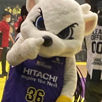 B.League⛹️‍♂️🏀#サンロッカーズ渋谷 を応援しています。チームマスコットのシロクマSundy大好き🐻‍❄❸❻️💛＊サンロッカーズとサンディーに反応して無言フォロー・リポストさせていただく事あります。よろしくお願いします＊