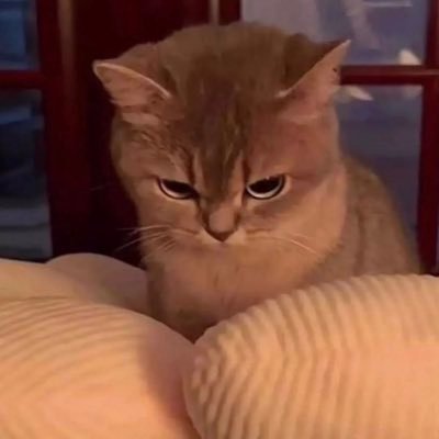 Alicekang119207's profile picture. 我不会独自行走。 上帝是我的帮助