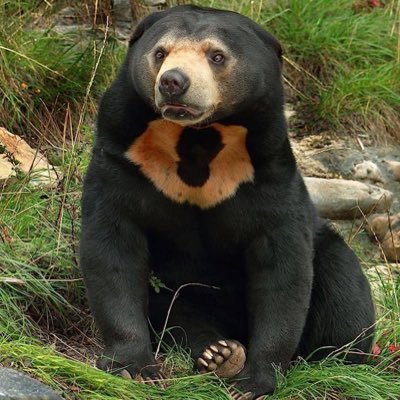 gorgeousdresser's profile picture. peace love happiness