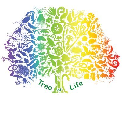 Wellcome Sanger Tree of Life Programme