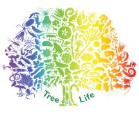 Wellcome Sanger Tree of Life Programme(@SangerToL) 's Twitter Profile Photo