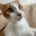 Aissa Sliman (@qui_leur_dit) Twitter profile photo Aissa Sliman (@qui_leur_dit) Twitter profile photo