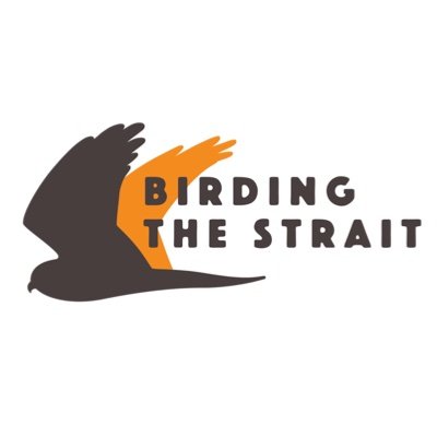 Birding The Strait