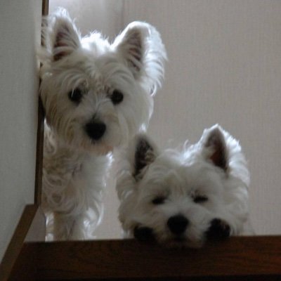 定年まで3年の会社員 老後資金だけの為に勤めています 抗不安薬を飲んでいますが不安と不眠🫨 不動産開発営業と言うとてつもなくハードな仕事 現在は大阪市環状線沿いで単身赴任老後は実家の奈良県に帰りたい