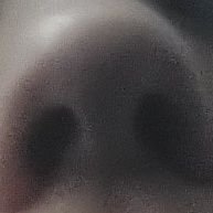 lautuwuxd's profile picture. 