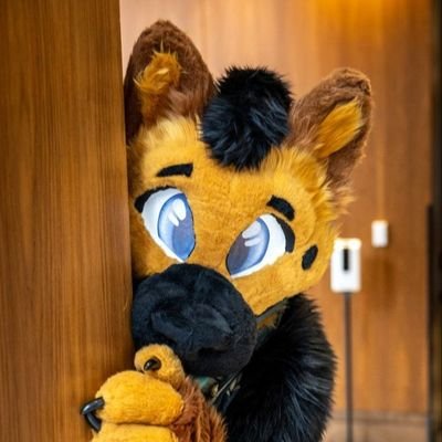 Service Sheppy/switch/Cert Good boi telegram: @Wasabitheshep