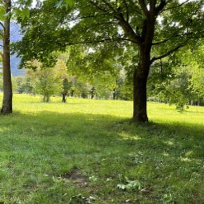 Borisla09219460's profile picture. 