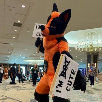 Just a goofy not cute fox who does tik tok and stoof. He/Him single