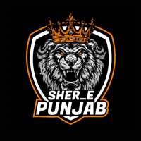 Sher E Punjab | COC (@sherepunjabcoc) 's Twitter Profile