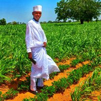 Lukman Wakili Darazo (@lukmangarba14) 's Twitter Profile