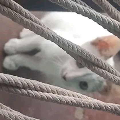 vairamurthy's profile picture. feel freee