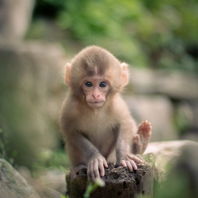 Maeght__Sarah's profile picture. 