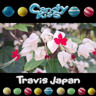 進化するTravis Japanが楽しみ✨️応援するのがこんなに楽しいなんて✨️自分でもびっくり😊無言フォローお許しください😁