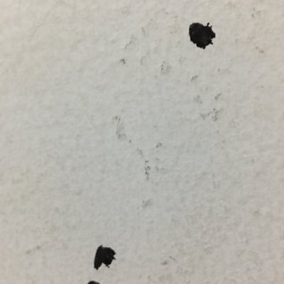 1akunbuatapaya3's profile picture. don't send me a message,
don't follow me, thanks