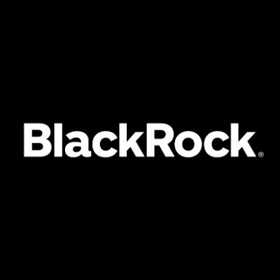 BlackRock Profile Picture