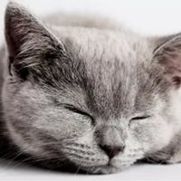 Cerebro (@cerebroonair) 's Twitter Profile Photo