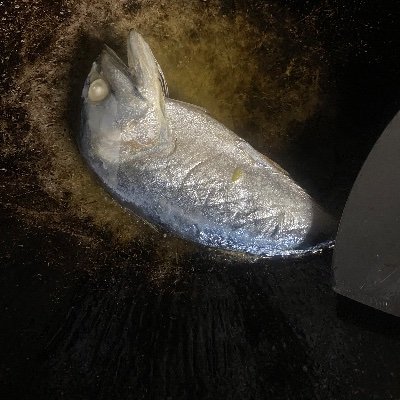 Channel14476765's profile picture. 