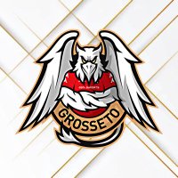 ๐๐ง๐ค๐จ๐จ๐๐ฉ๐ค ๐๐๐ฅ๐ค๐ง๐ฉ๐จยฎ๏ธ (@grossetoesports) 's Twitter Profile