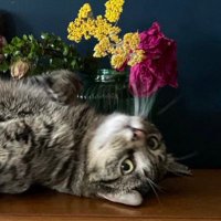 Sancho (and Polina) (@sancho_roolz) 's Twitter Profile Photo Sancho (and Polina) (@sancho_roolz) 's Twitter Profile Photo