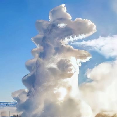 zhngzhn42798048's profile picture. 