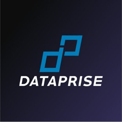 Dataprise Profile Picture