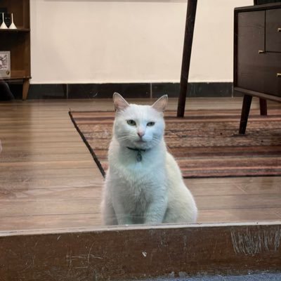 jPdI5sVPSnVudOS's profile picture. 