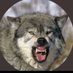 Wölfin mannenntmichauchmonique (@BeoBachter58) Twitter profile photo