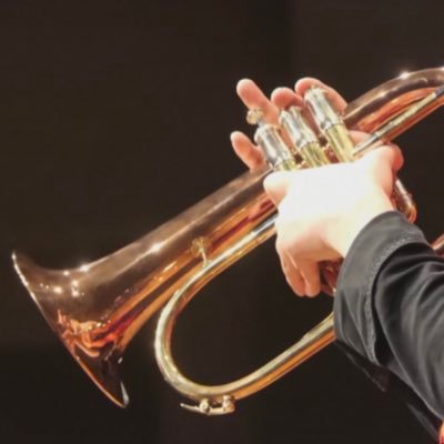 Shozo Tsumoriさんのプロフィール画像