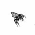 Ecologise UK CIC (@ecologiseuk) Twitter profile photo Ecologise UK CIC (@ecologiseuk) Twitter profile photo