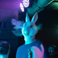 Disco Mary (@discomaryband) 's Twitter Profile