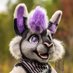 CadenceDaAlpaca 🔜 FWA 24, AC (@CadenceAlpaca) Twitter profile photo